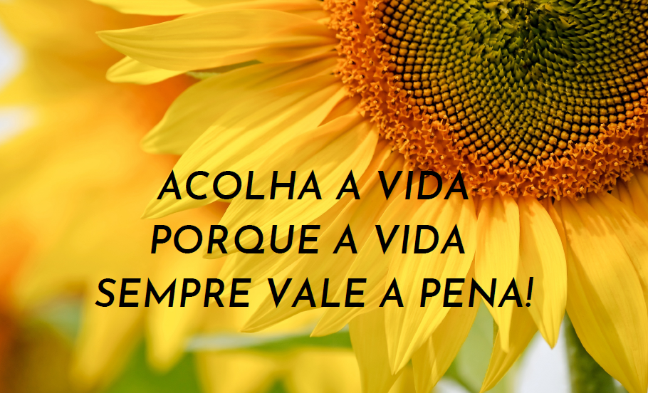 Arquivo Pessoal 