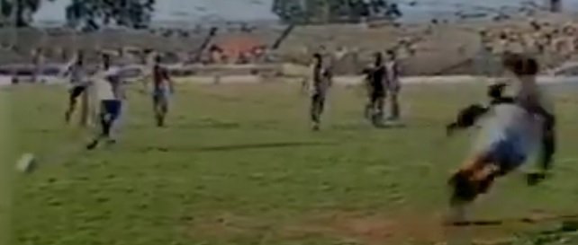 Divulgação