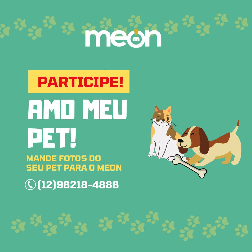 Arte/Bianca Paiva/Meon