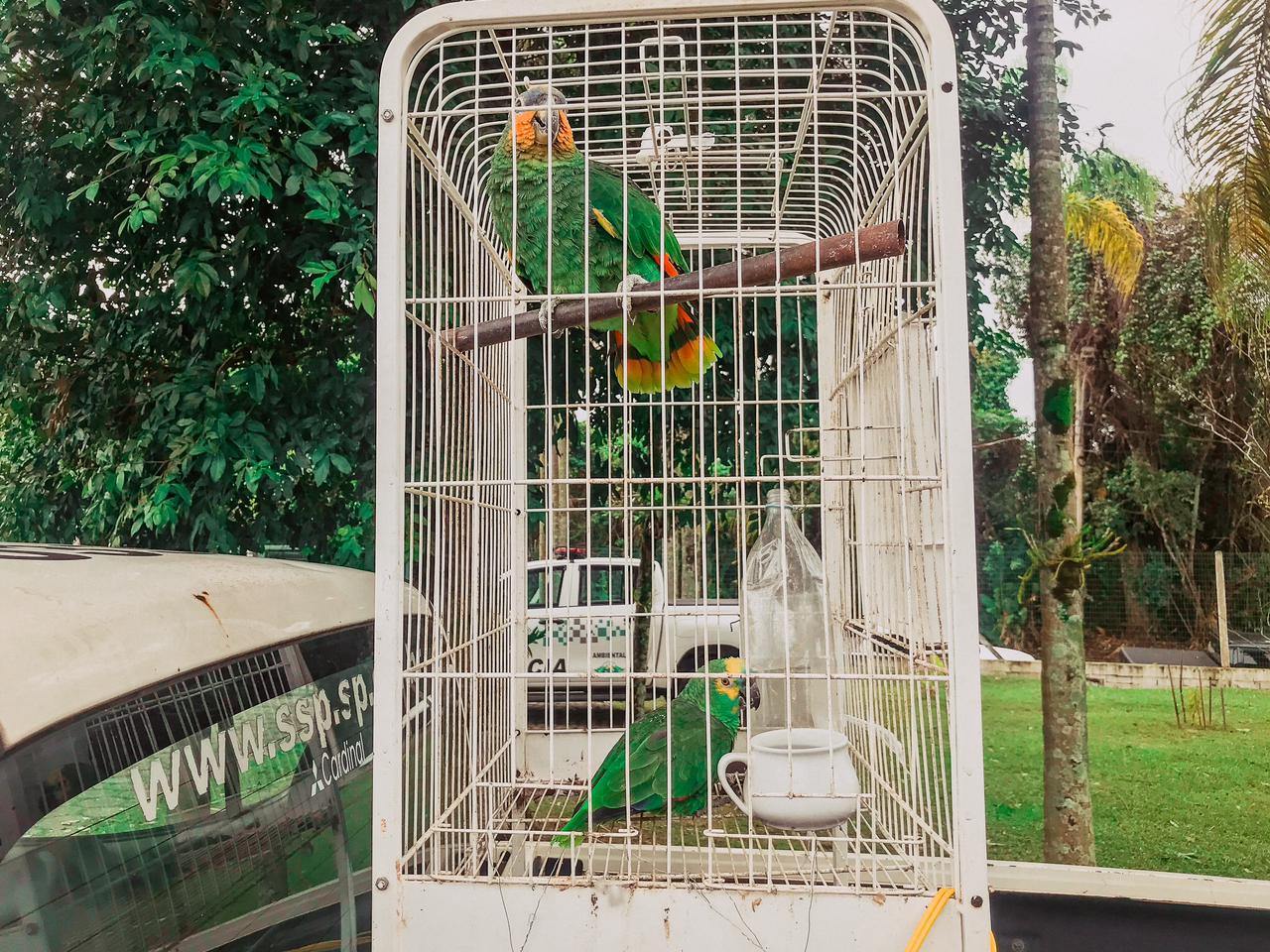 Polícia Ambiental de Caraguatatuba