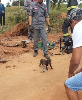 Divulgação/Corpo de Bombeiros