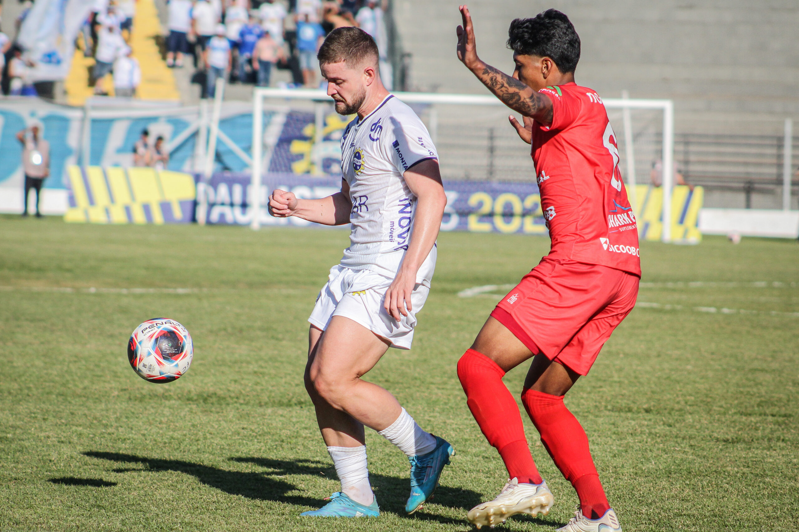 Renan Camargo