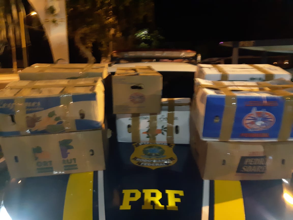 Polícia Ambiental