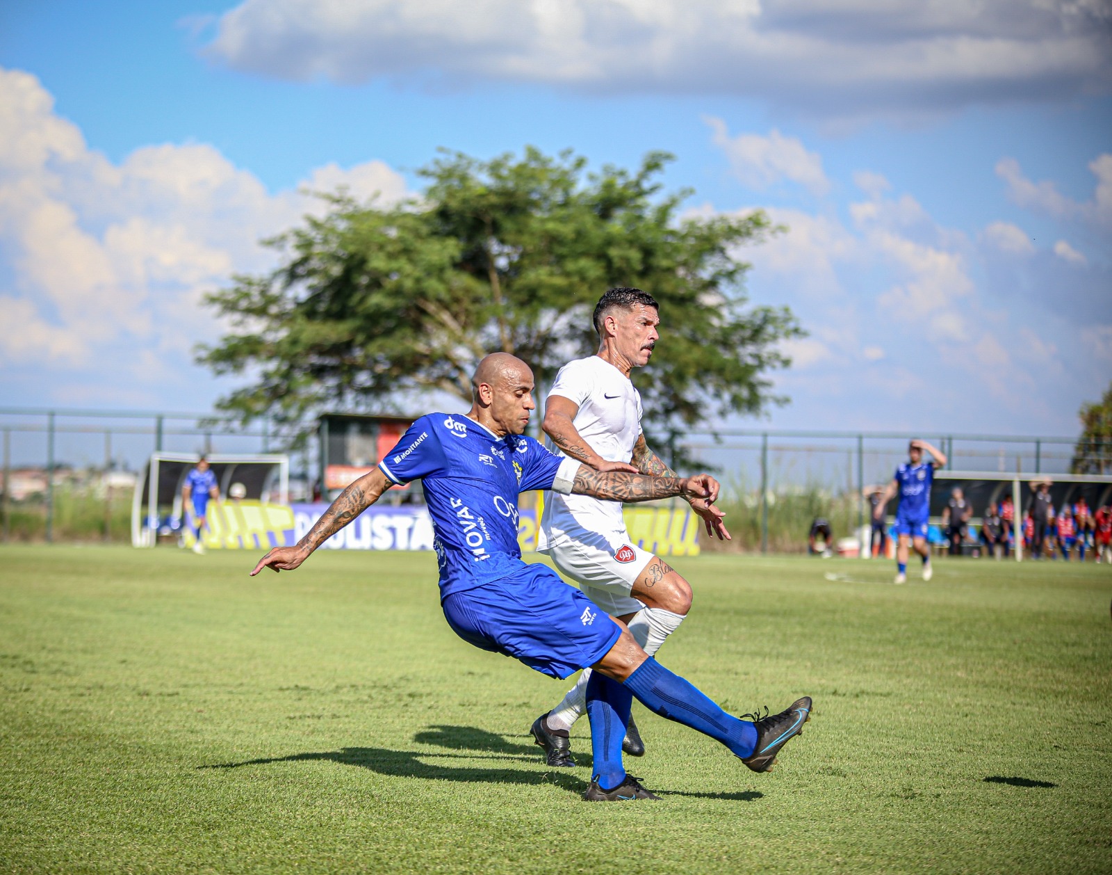 Honae Pereira / Outline Sports - Desportivo Brasil