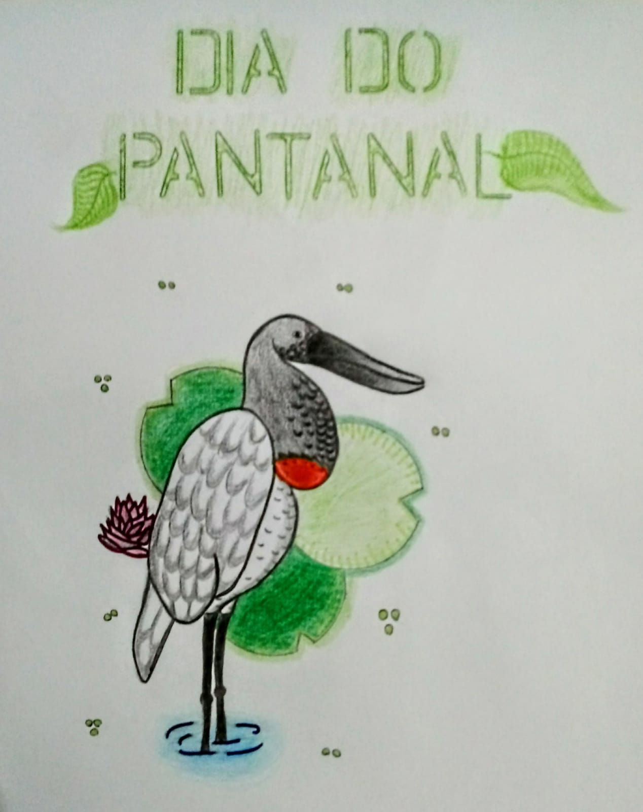 Desenho do aluno