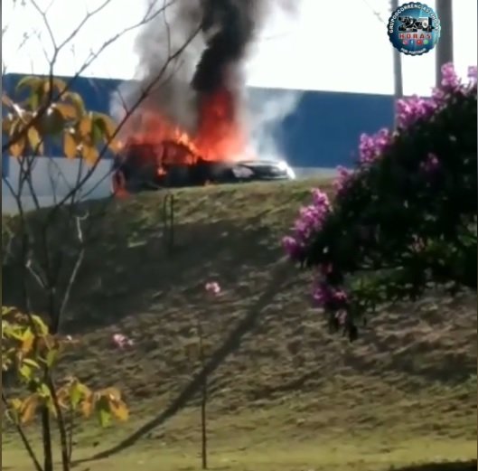 Reprodução/FacebookGrupoOcorrências24horasPortinari