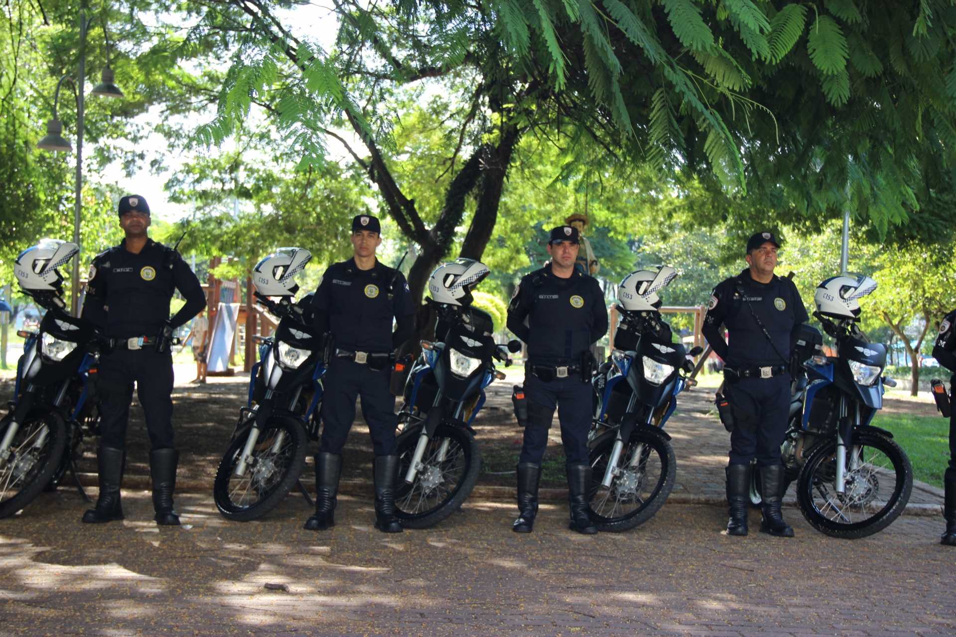 Divulgação