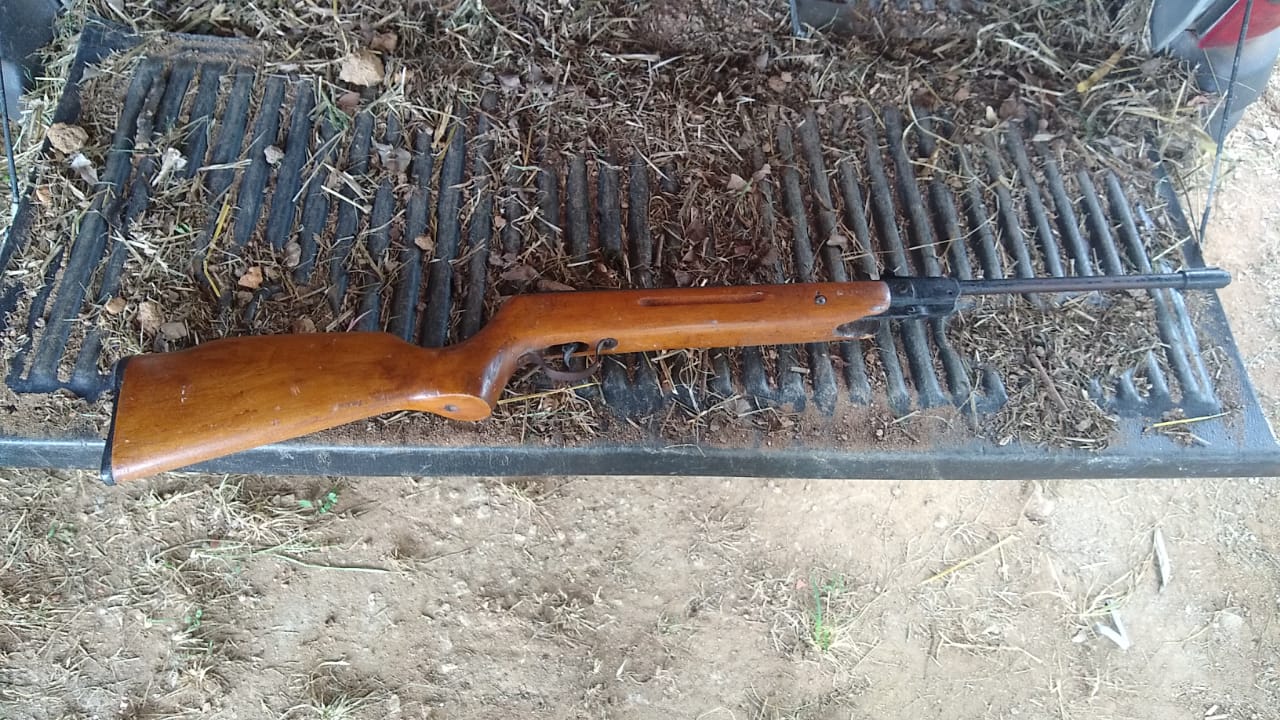 Divulgação / Polícia Militar Ambiental