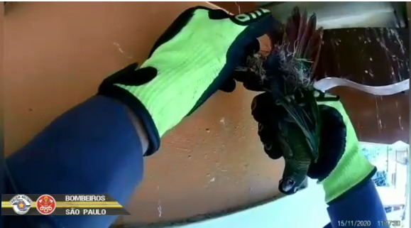 Divulgação/Corpo de Bombeiros