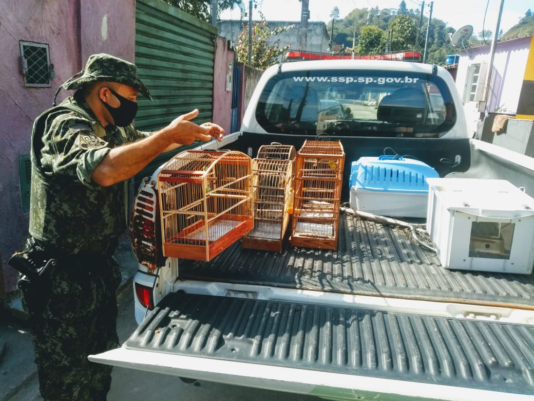Divulgação/Polícia Ambiental