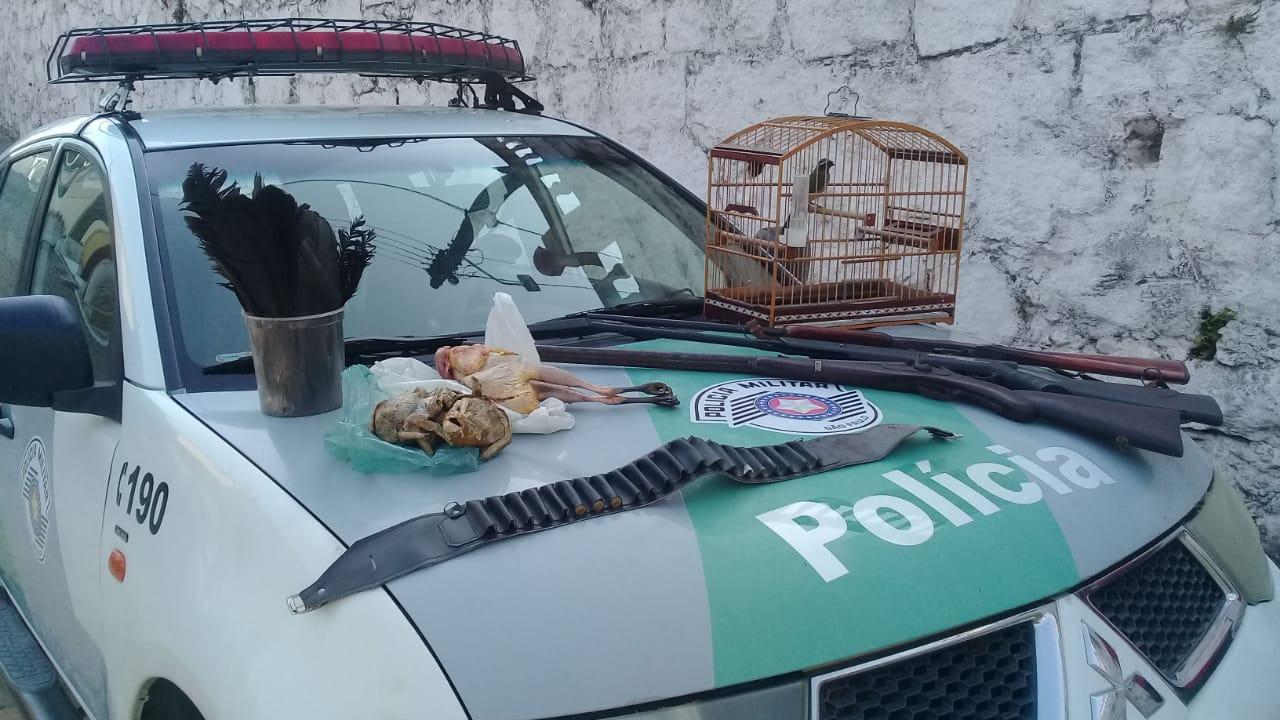 Divulgação/Polícia Ambiental