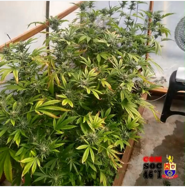 Divulgação/Polícia Militar