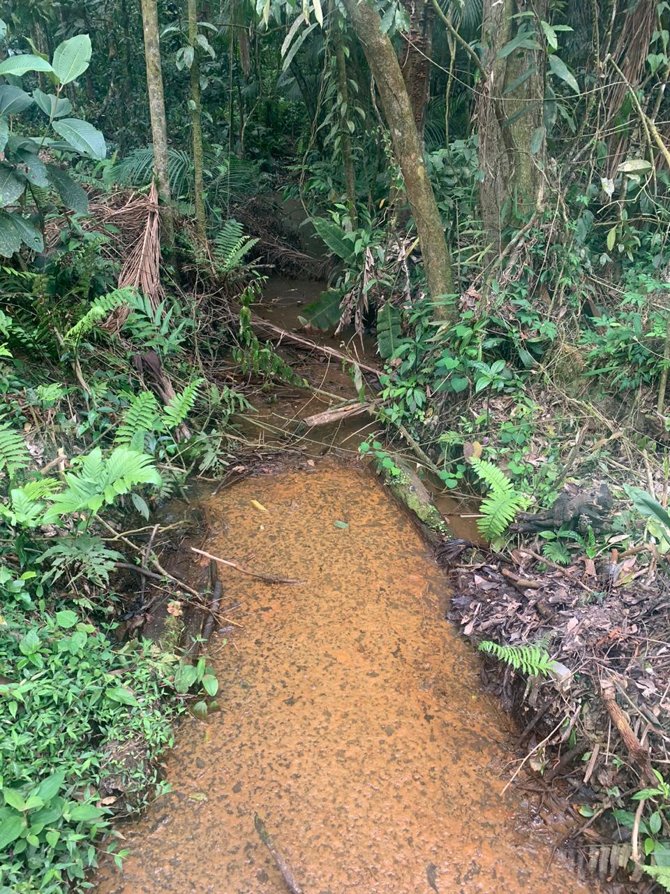 Divulgação/Polícia Ambiental