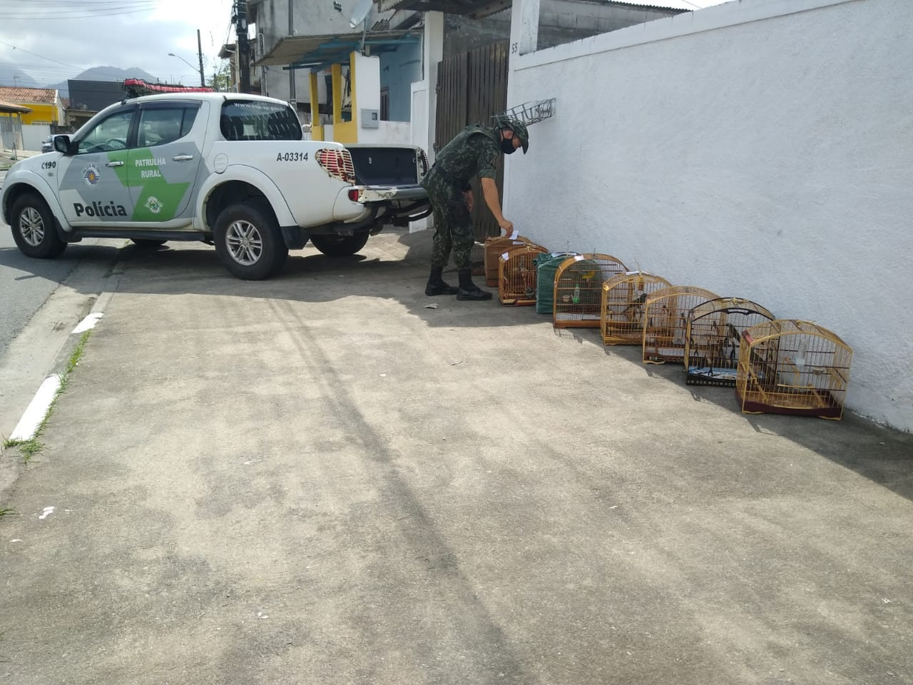 Divulgação/Polícia Ambiental