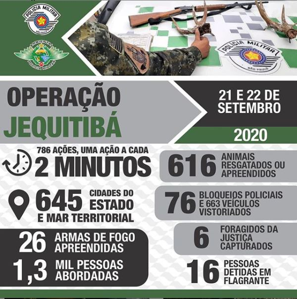 Divulgação/Polícia Ambiental