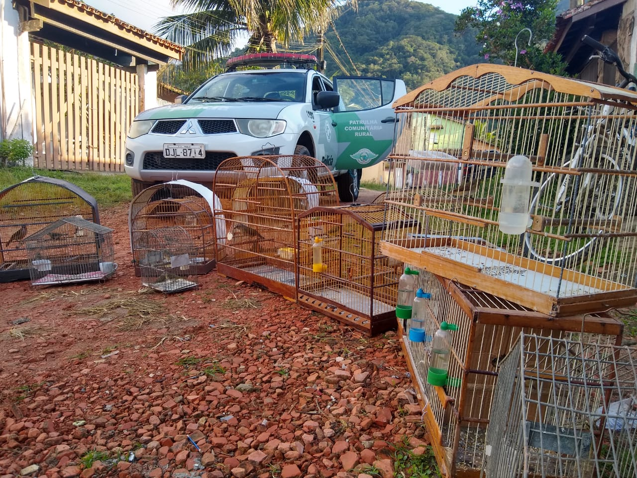 Divulgação/Polícia Ambiental