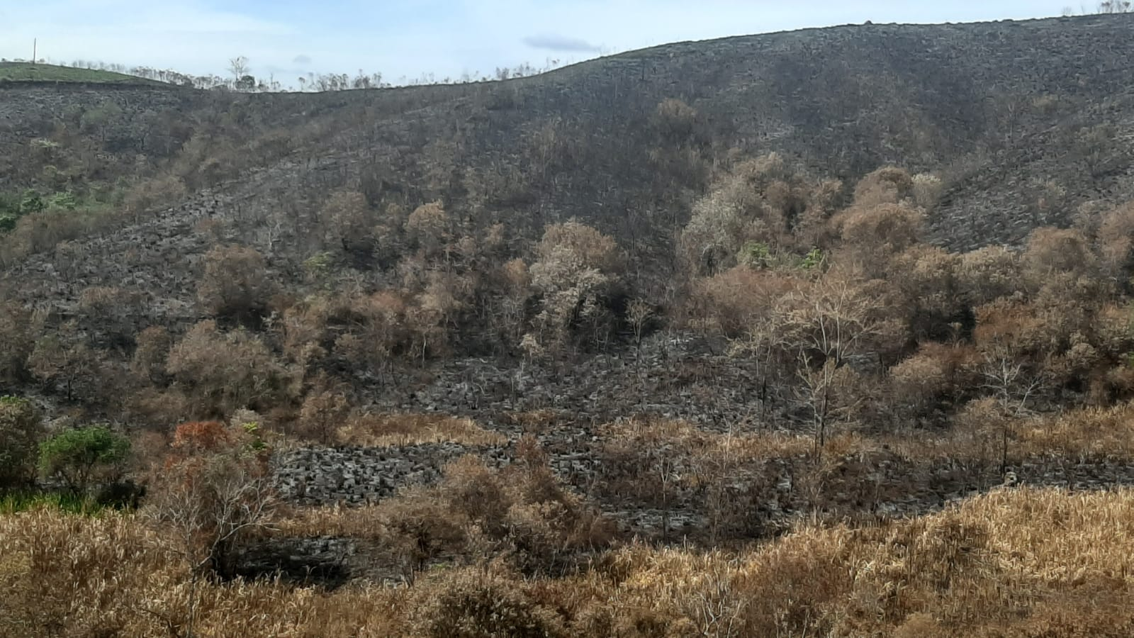 Divulgação/Polícia Ambiental