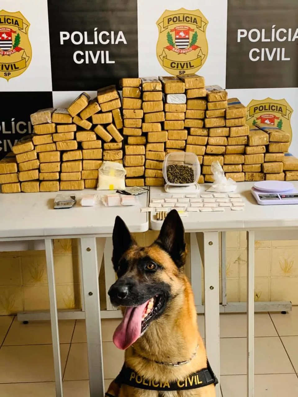 Divulgação/Polícia Civil