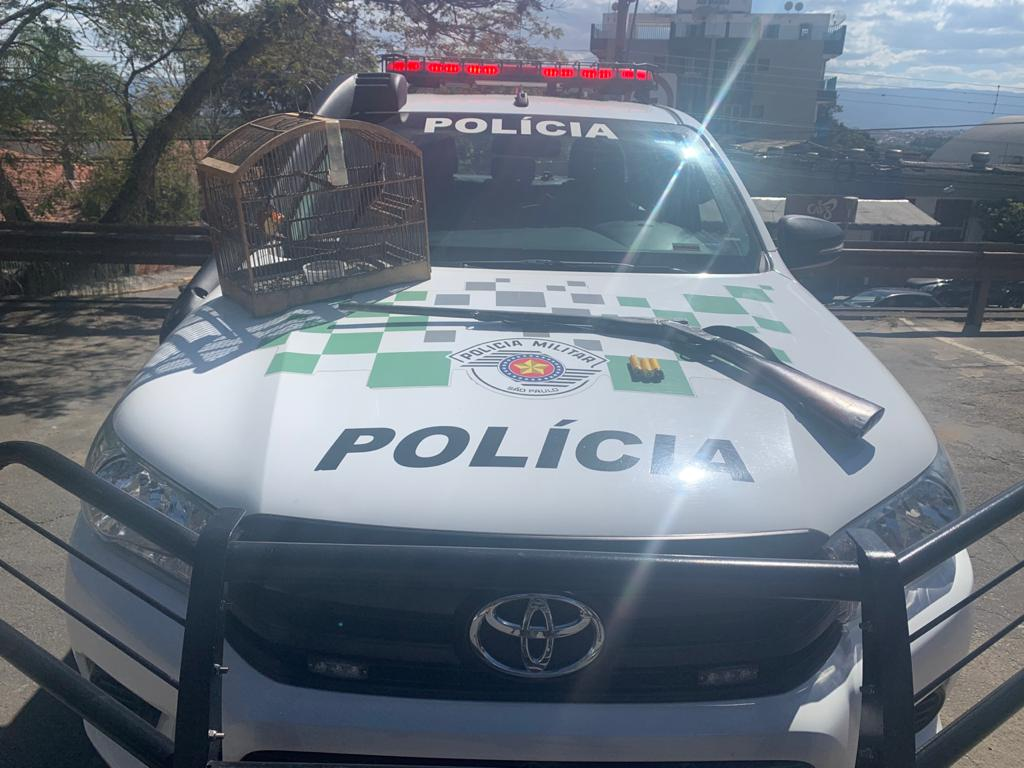 Divulgação/Polícia Ambiental