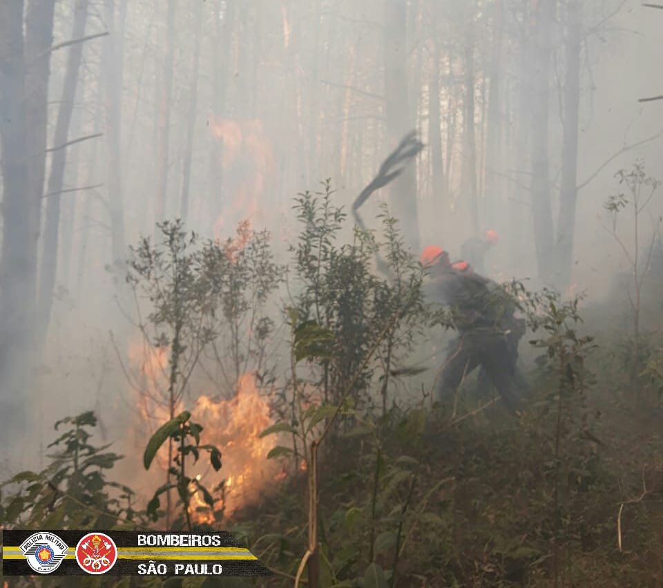 Divulgação/Bombeiros