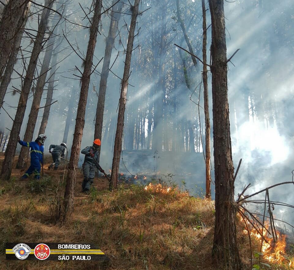 Divulgação/Bombeiros