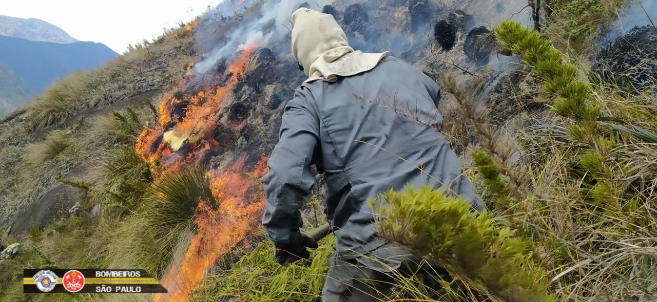 Divulgação/Corpo de Bombeiros