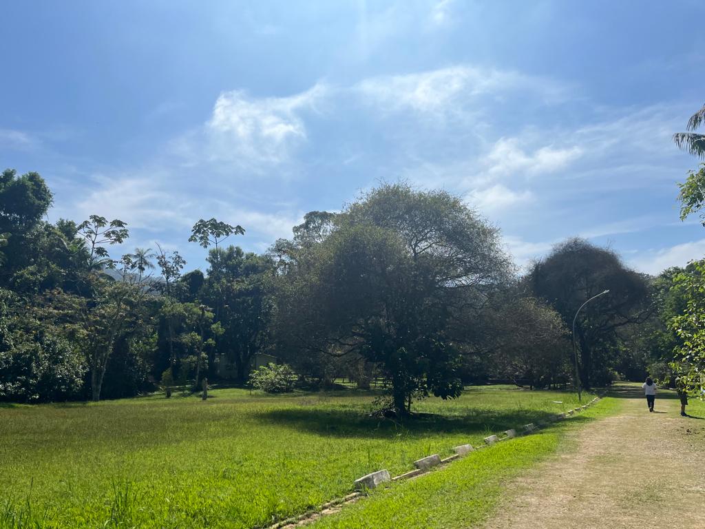 Arquivo pessoal/Meon