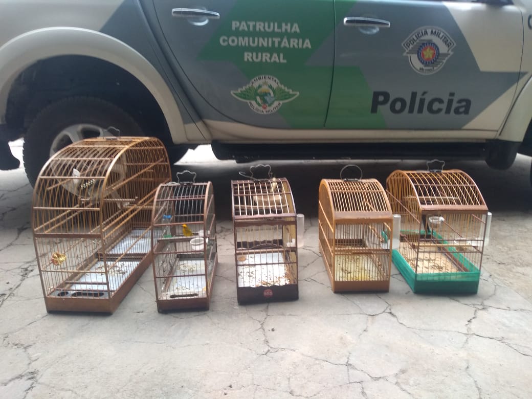 Divulgação/PolíciaAmbiental