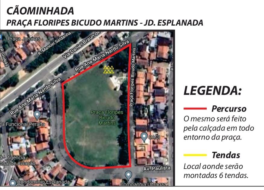 Divulgação