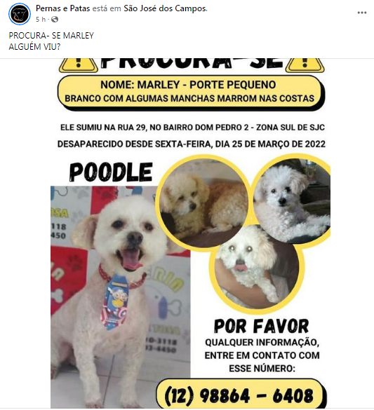 Reprodução