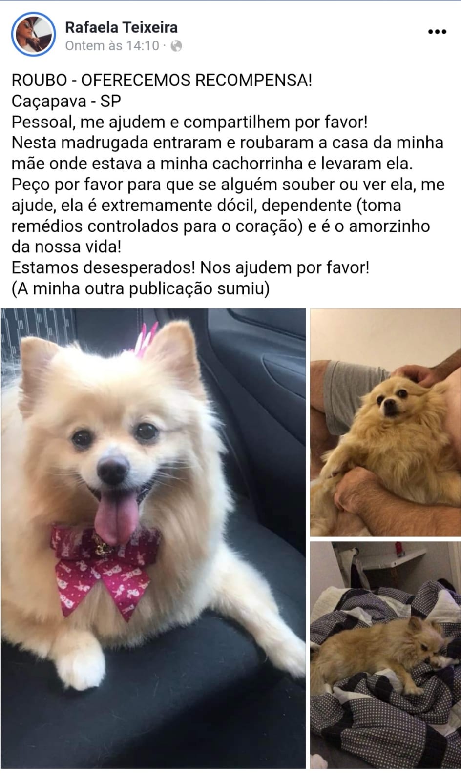 Divulgação