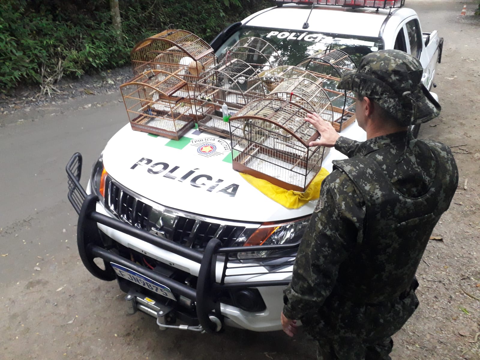 Polícia Militar Ambiental