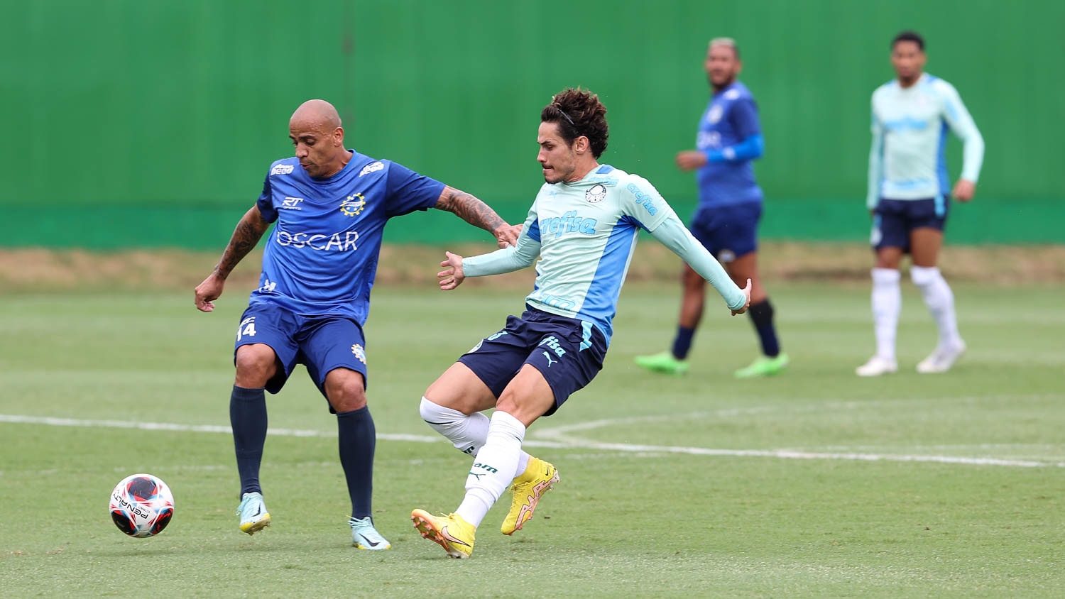 Cesar Greco/Palmeiras