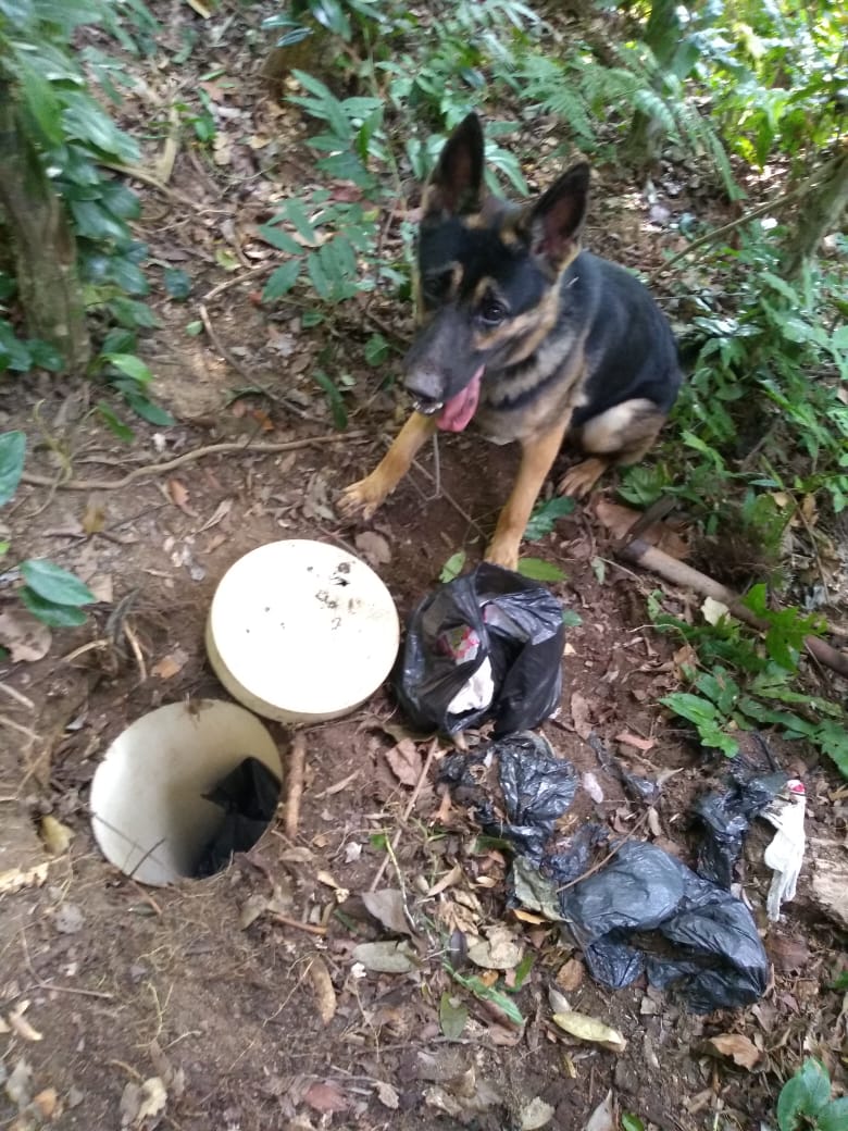 Polícia Militar / Divulgação