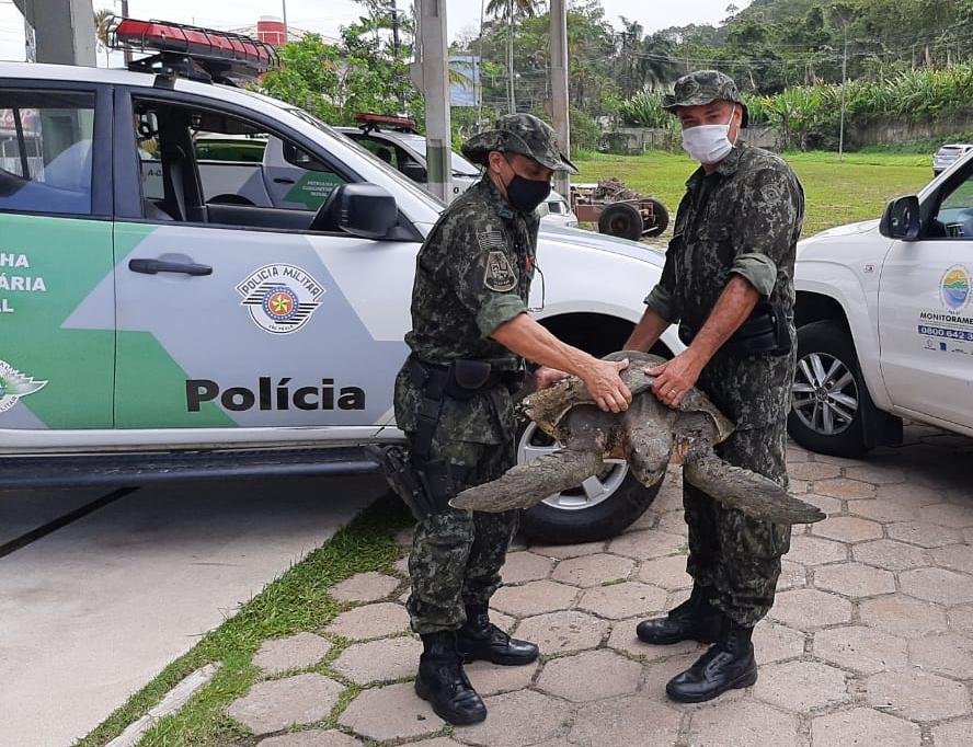 Divulgação/Polícia Ambiental