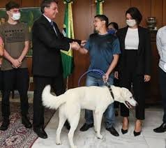 Reprodução